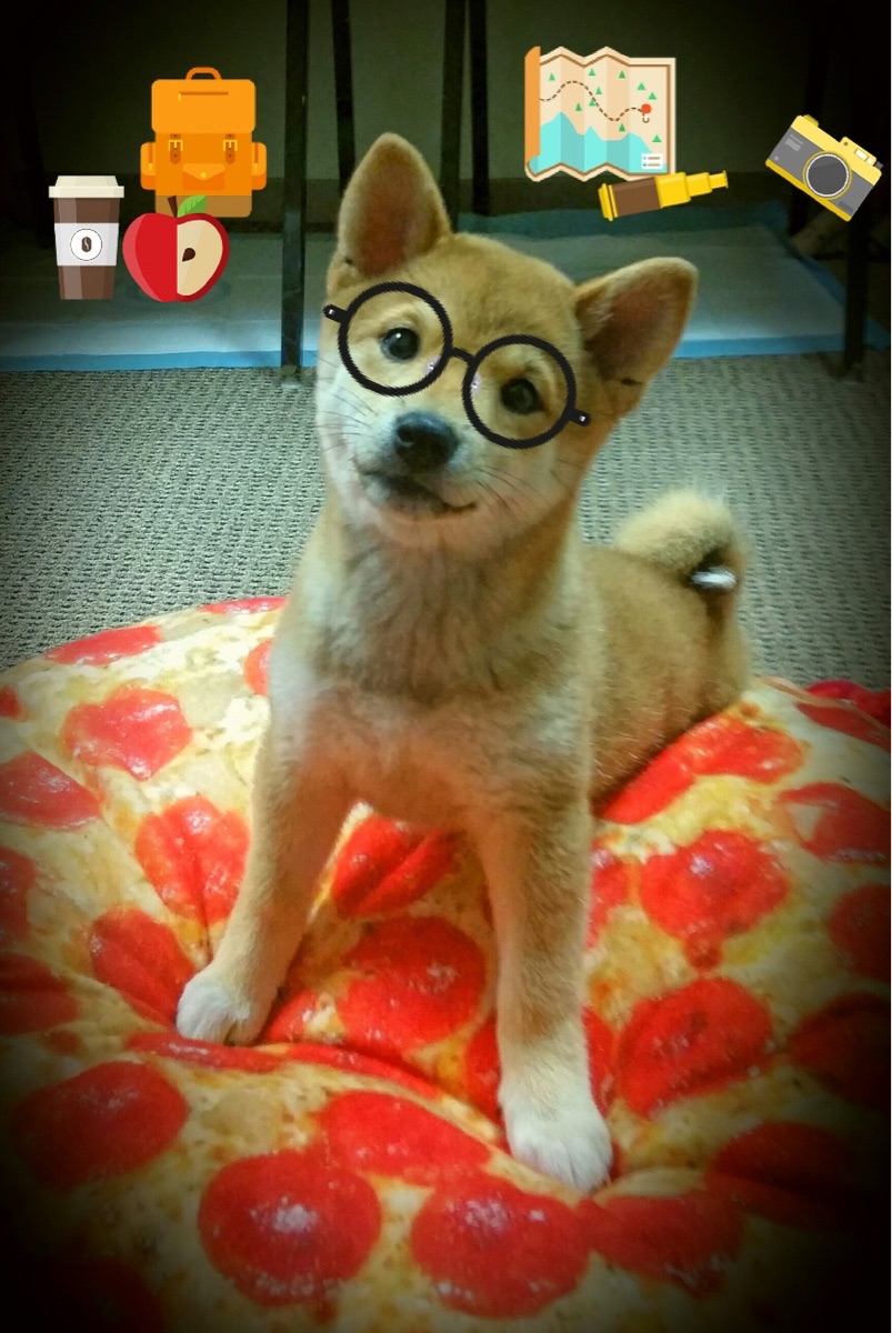 “2025世界运动会：高新区全民健身馆壁球赛事，速度与技巧的极限挑战”