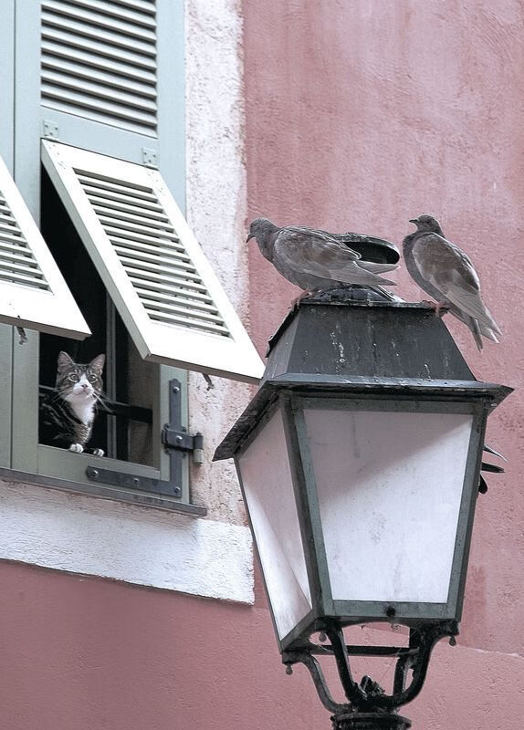 开云网址-亚洲杯中国青年队战平 球迷积极支持球队，亚洲青年杯积分榜