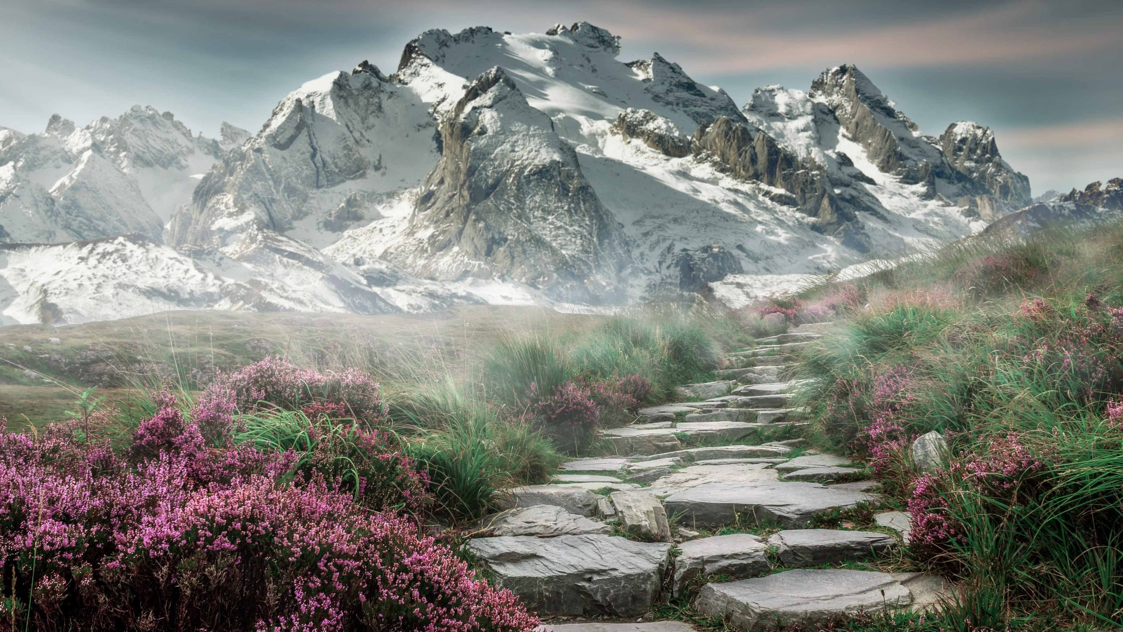 那不勒斯打出连续配合击穿防线，那不勒斯阵型